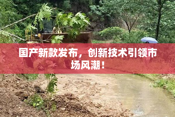 国产新款发布，创新技术引领市场风潮！