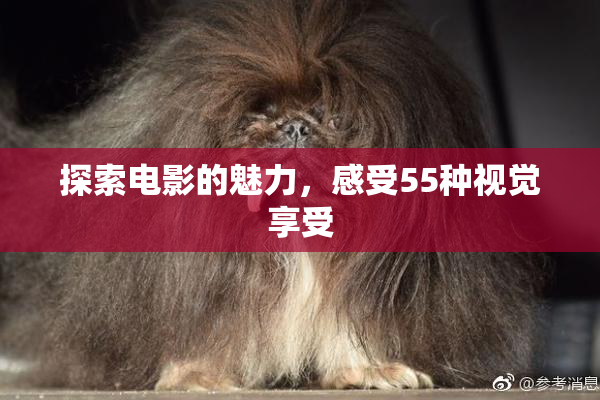 探索电影的魅力，感受55种视觉享受