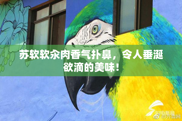 苏软软汆肉香气扑鼻，令人垂涎欲滴的美味！