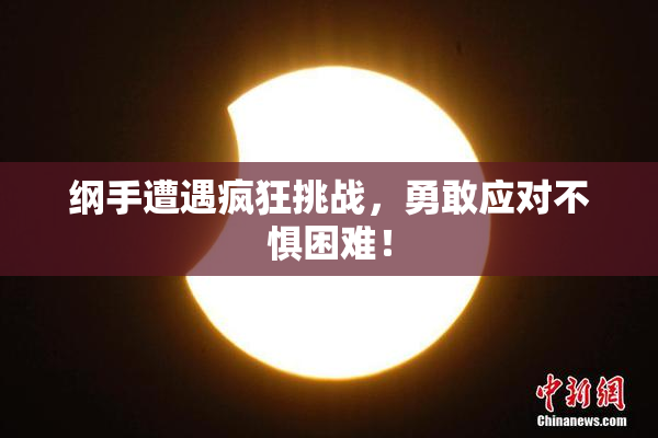 纲手遭遇疯狂挑战，勇敢应对不惧困难！