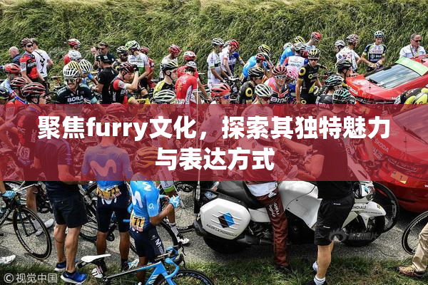 聚焦furry文化，探索其独特魅力与表达方式