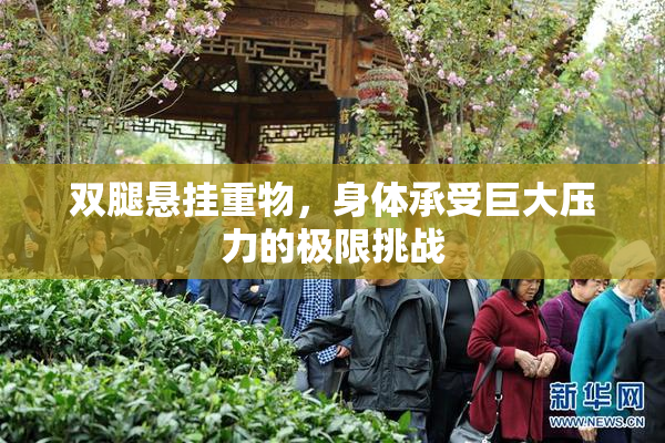双腿悬挂重物，身体承受巨大压力的极限挑战