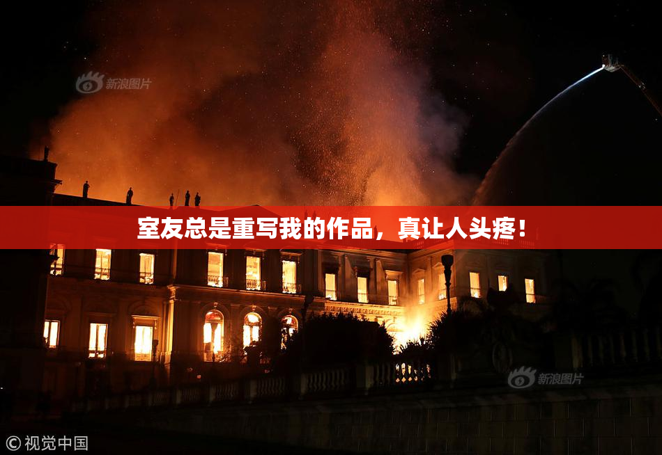 室友总是重写我的作品，真让人头疼！