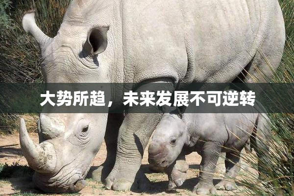 大势所趋，未来发展不可逆转