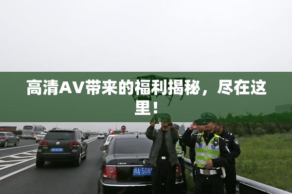 高清AV带来的福利揭秘，尽在这里！