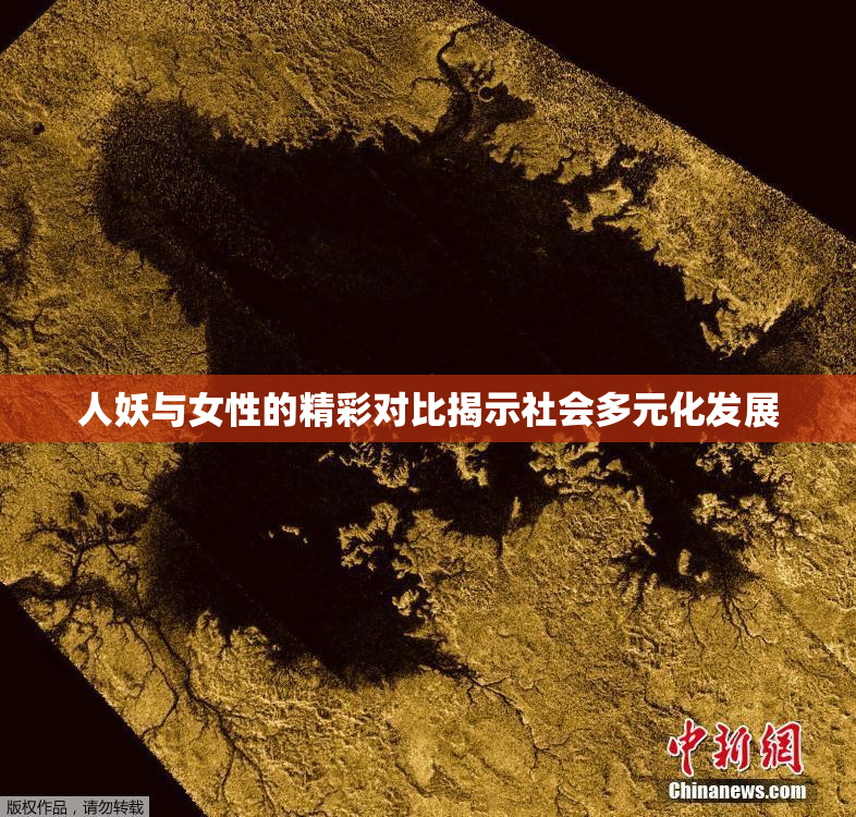 人妖与女性的精彩对比揭示社会多元化发展