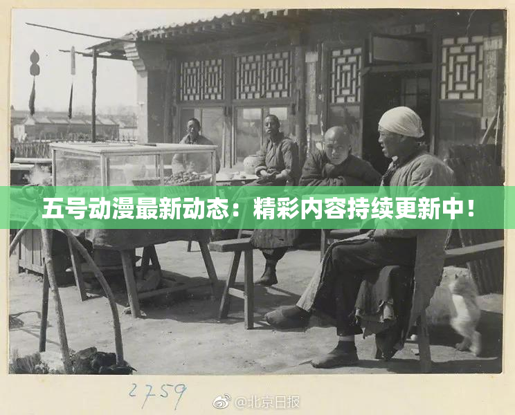 五号动漫最新动态：精彩内容持续更新中！