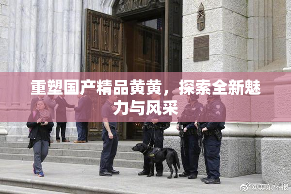 重塑国产精品黄黄，探索全新魅力与风采