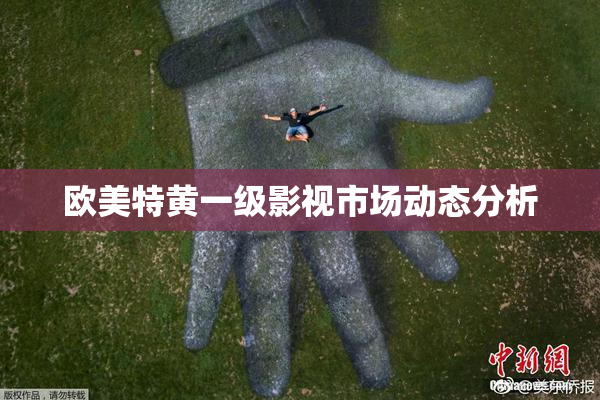 欧美特黄一级影视市场动态分析
