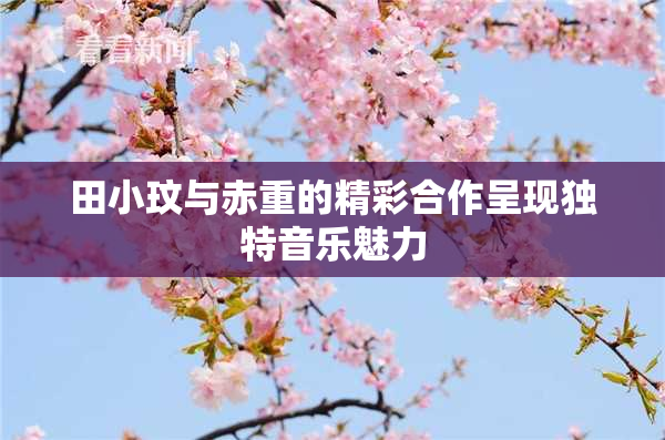 田小玟与赤重的精彩合作呈现独特音乐魅力