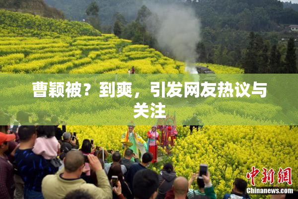 曹颖被？到爽，引发网友热议与关注