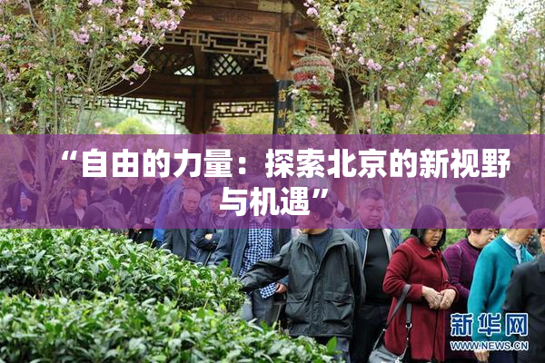 “自由的力量：探索北京的新视野与机遇”
