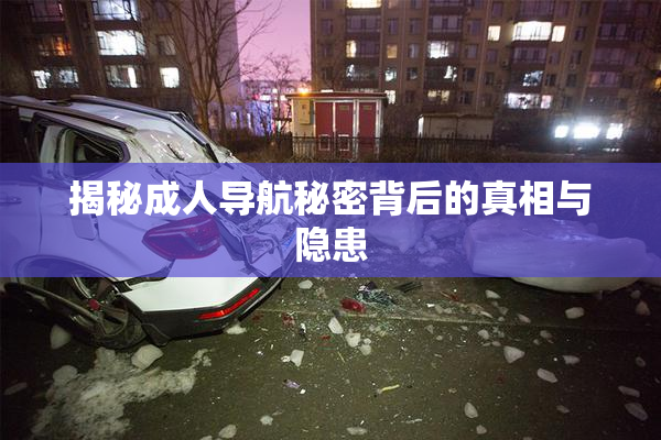 揭秘成人导航秘密背后的真相与隐患