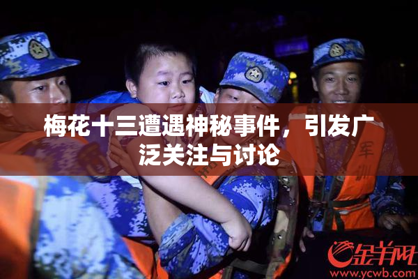 梅花十三遭遇神秘事件，引发广泛关注与讨论