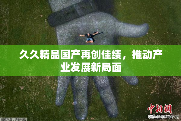 久久精品国产再创佳绩，推动产业发展新局面
