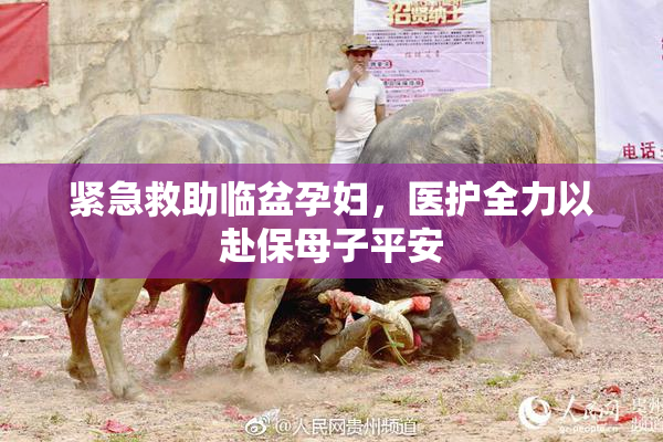 紧急救助临盆孕妇，医护全力以赴保母子平安