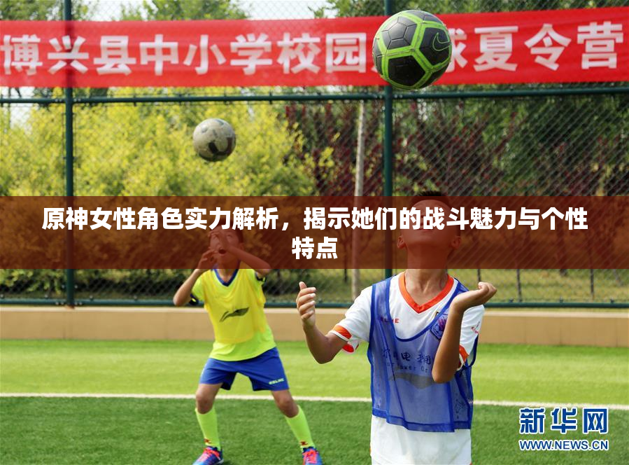 原神女性角色实力解析，揭示她们的战斗魅力与个性特点