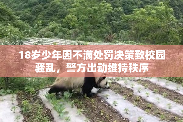 18岁少年因不满处罚决策致校园骚乱，警方出动维持秩序
