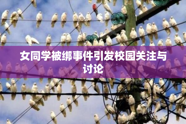女同学被绑事件引发校园关注与讨论