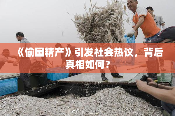 《偷国精产》引发社会热议，背后真相如何？