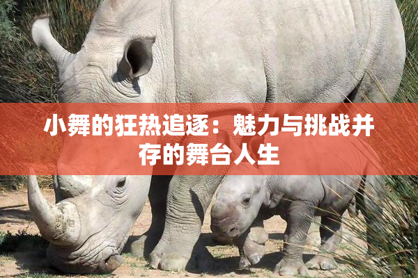 小舞的狂热追逐：魅力与挑战并存的舞台人生