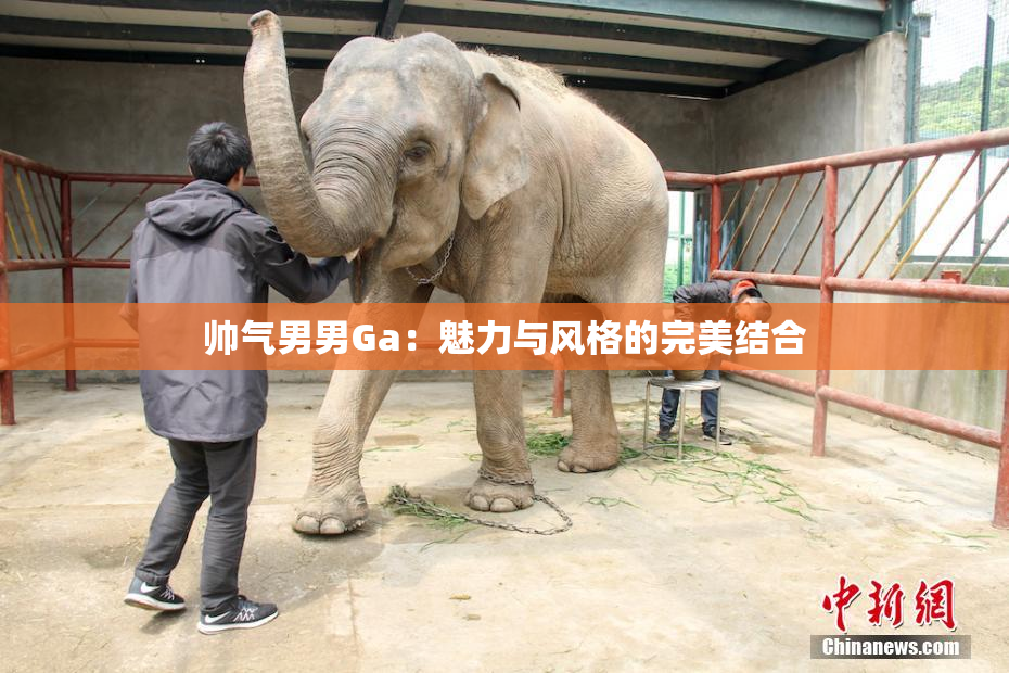 帅气男男Ga：魅力与风格的完美结合