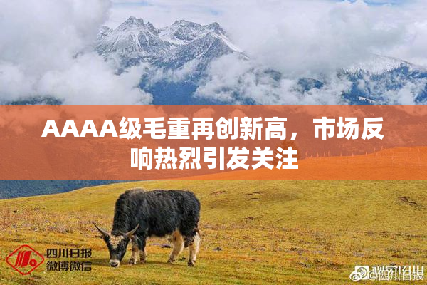 AAAA级毛重再创新高，市场反响热烈引发关注