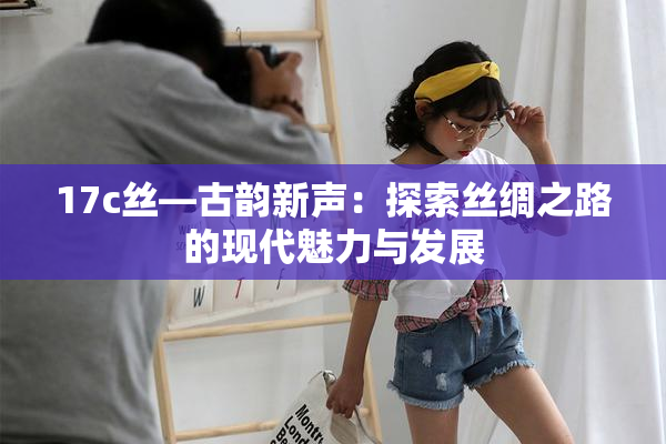 17c丝—古韵新声：探索丝绸之路的现代魅力与发展