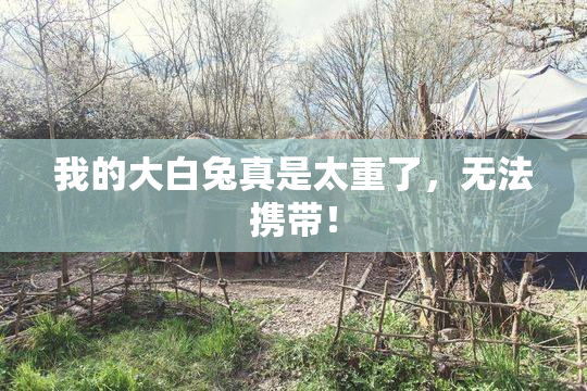 我的大白兔真是太重了，无法携带！