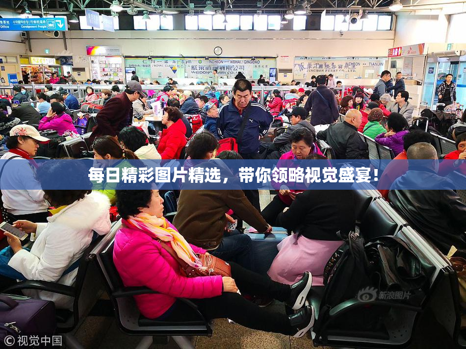 每日精彩图片精选，带你领略视觉盛宴！