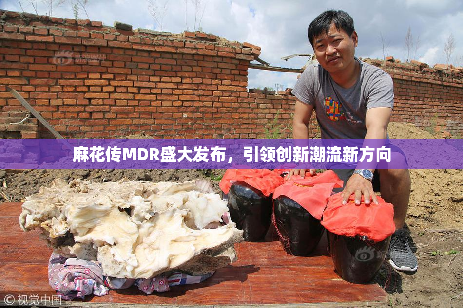 麻花传MDR盛大发布，引领创新潮流新方向
