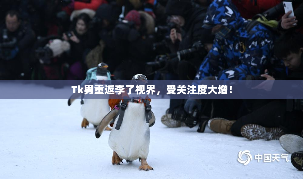 Tk男重返李了视界，受关注度大增！