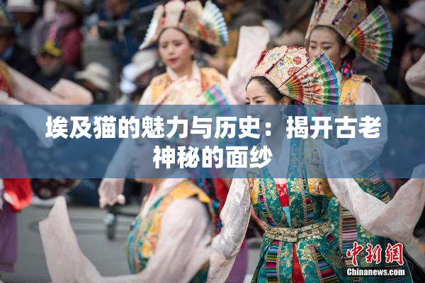 埃及猫的魅力与历史：揭开古老神秘的面纱