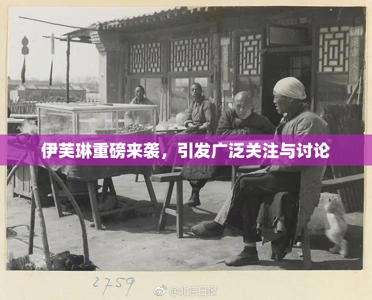 伊芙琳重磅来袭，引发广泛关注与讨论
