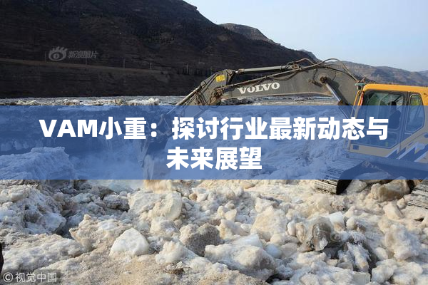 VAM小重：探讨行业最新动态与未来展望