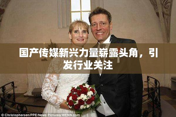 国产传媒新兴力量崭露头角，引发行业关注