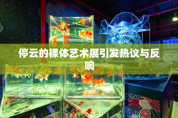 停云的裸体艺术展引发热议与反响