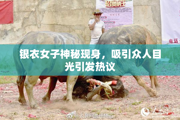 银衣女子神秘现身，吸引众人目光引发热议