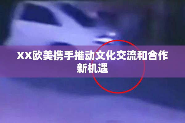 XX欧美携手推动文化交流和合作新机遇