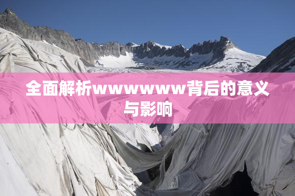 全面解析wwwwww背后的意义与影响