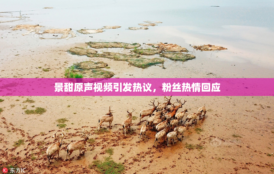 景甜原声视频引发热议，粉丝热情回应
