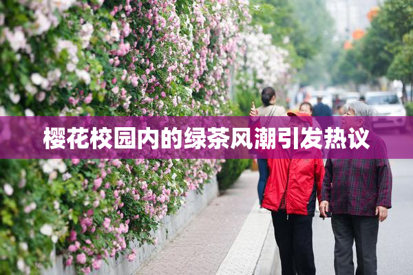樱花校园内的绿茶风潮引发热议