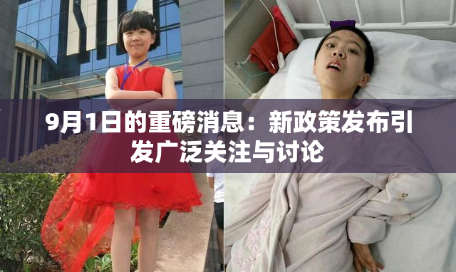 9月1日的重磅消息：新政策发布引发广泛关注与讨论