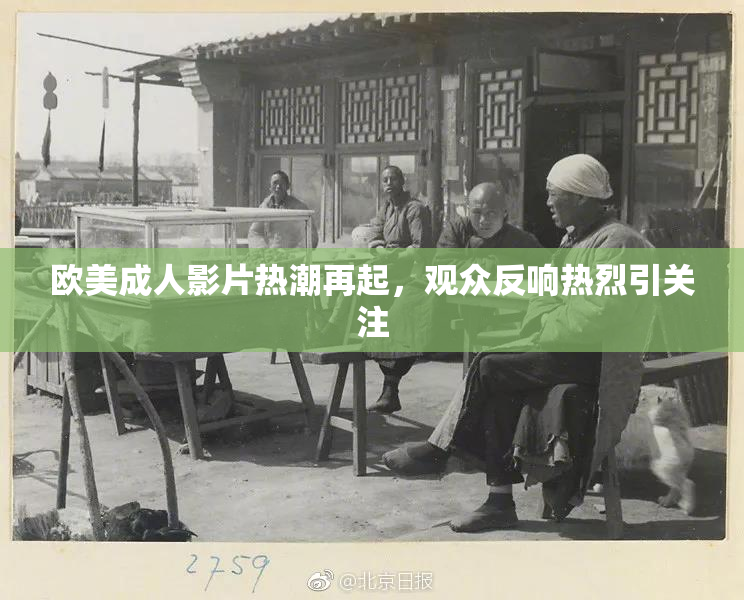 欧美成人影片热潮再起，观众反响热烈引关注