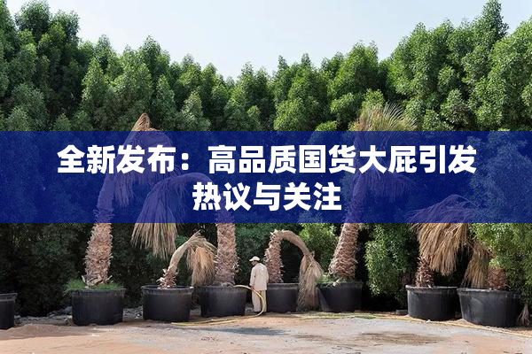 全新发布：高品质国货大屁引发热议与关注