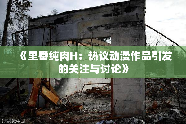 《里番纯肉H：热议动漫作品引发的关注与讨论》