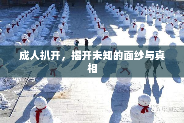 成人扒开，揭开未知的面纱与真相
