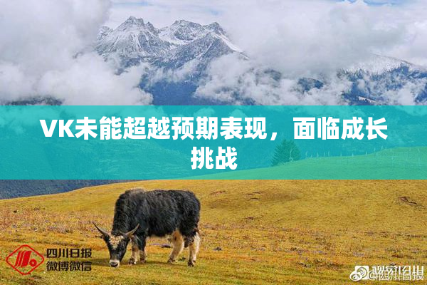 VK未能超越预期表现，面临成长挑战
