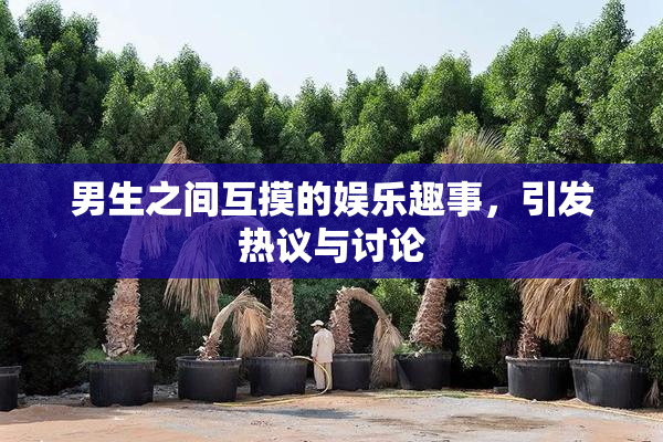 男生之间互摸的娱乐趣事，引发热议与讨论