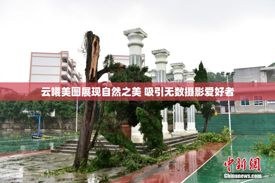 云曦美图展现自然之美 吸引无数摄影爱好者